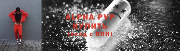 гидра Инсар