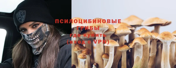 mdpv Иннополис