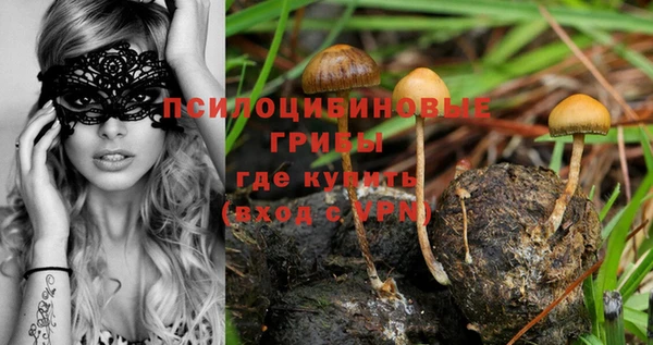 марки nbome Зеленодольск