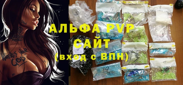 гидра Инсар
