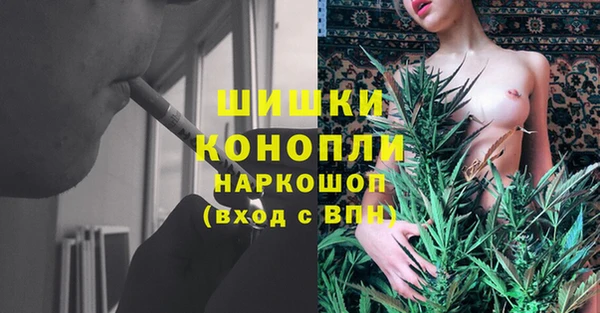 прущая мука Инта
