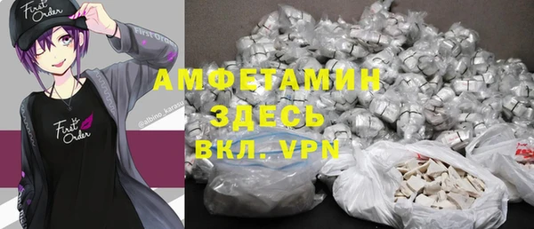 гидра Инсар