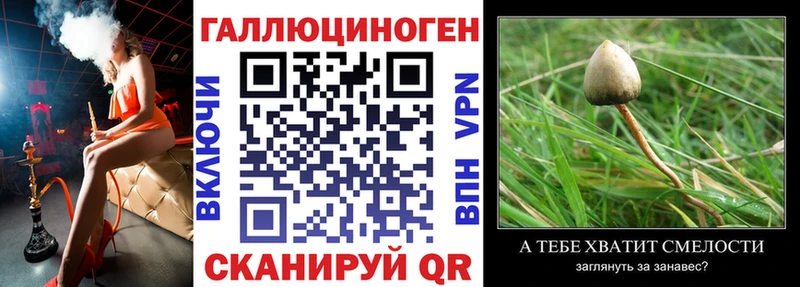 Псилоцибиновые грибы Cubensis  МЕГА как зайти  Михайловка 
